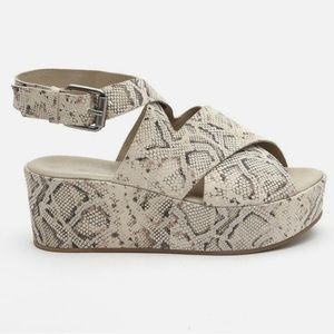 Size 7.5 Matisse x amuse society snake print sandals